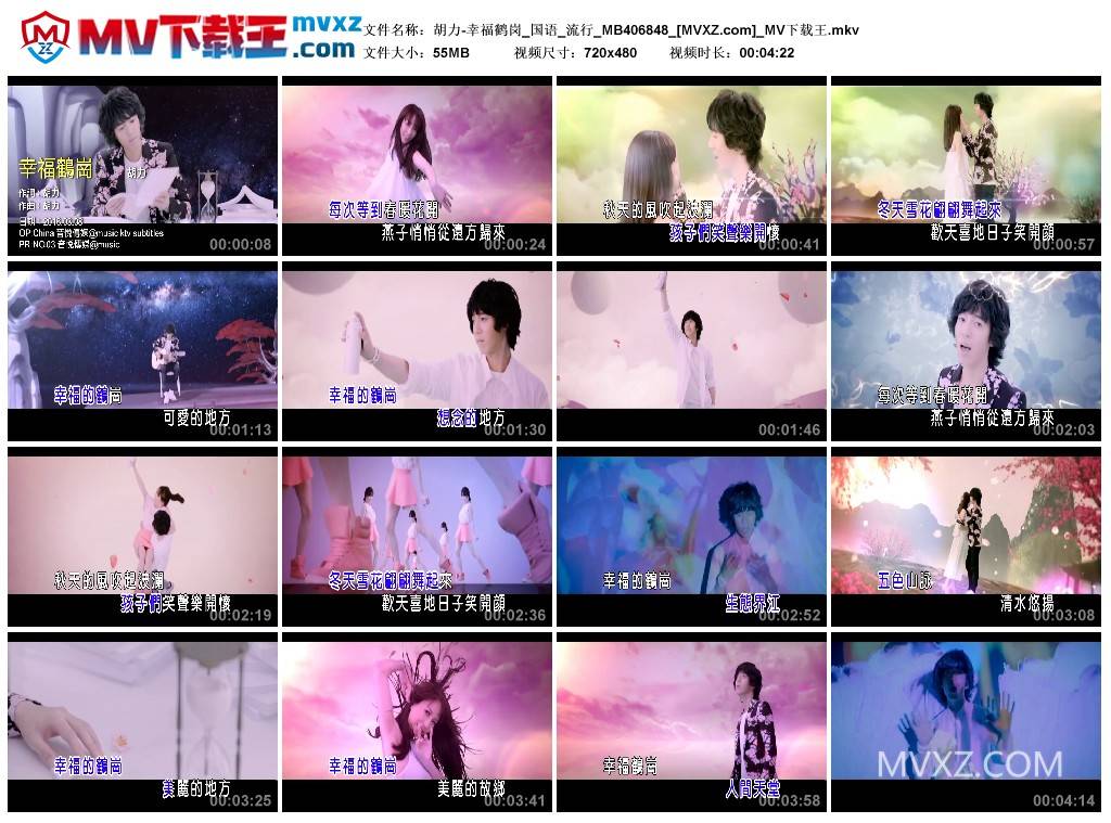 胡力-幸福鹤岗_国语_流行_MB406848